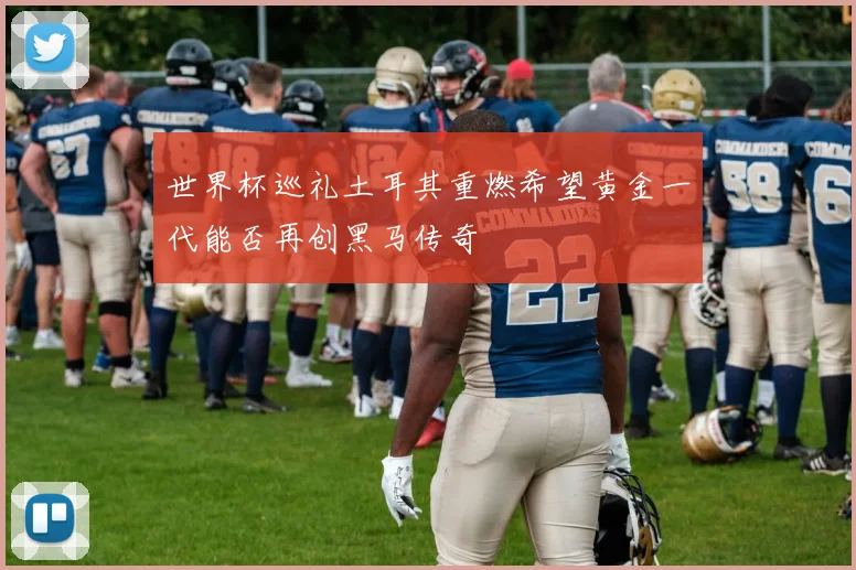 世界杯巡礼土耳其重燃希望黄金一代能否再创黑马传奇