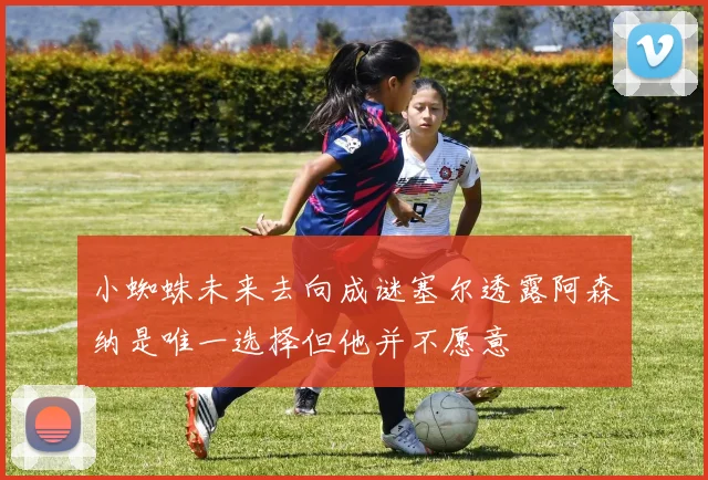 小蜘蛛未来去向成谜塞尔透露阿森纳是唯一选择但他并不愿意